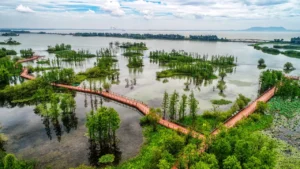 दुनिया का सबसे बड़ा डेल्टा - सुंदरबन डेल्टा