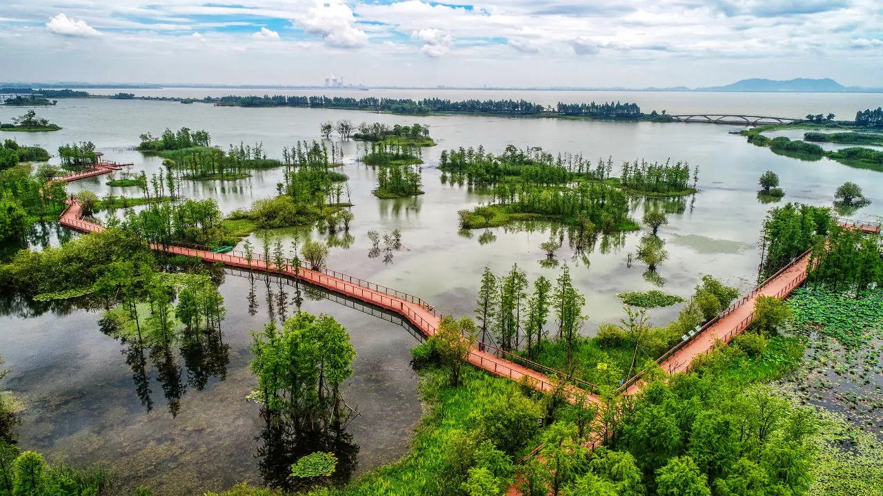 दुनिया का सबसे बड़ा डेल्टा - सुंदरबन डेल्टा